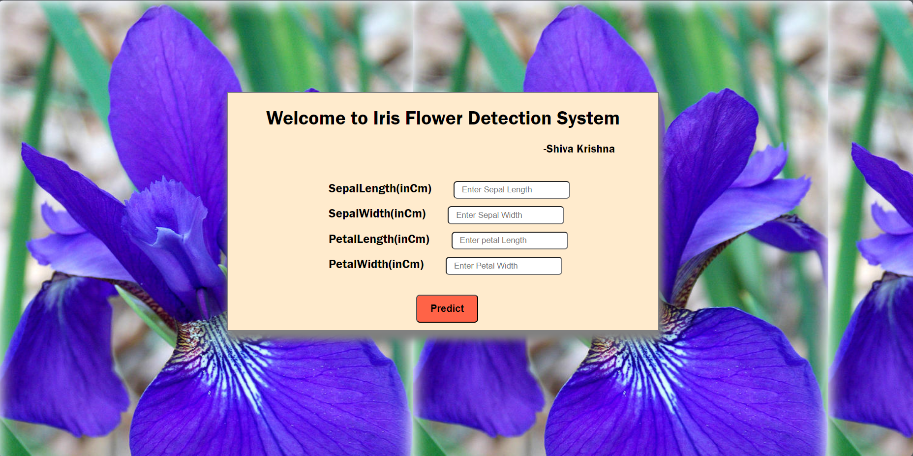 Iris Flower Detection System